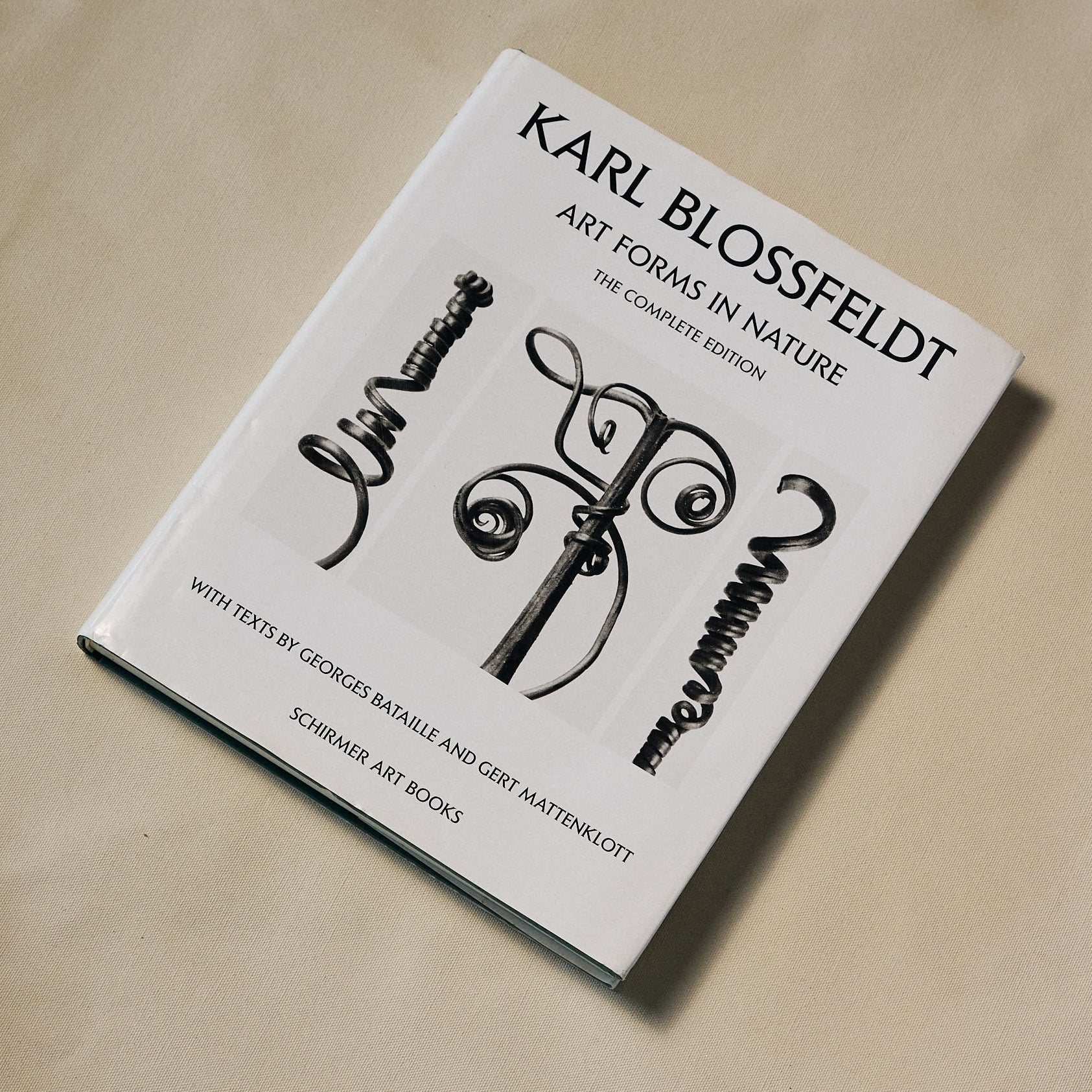 Karl Blossfeldt: Art Forms In Nature
