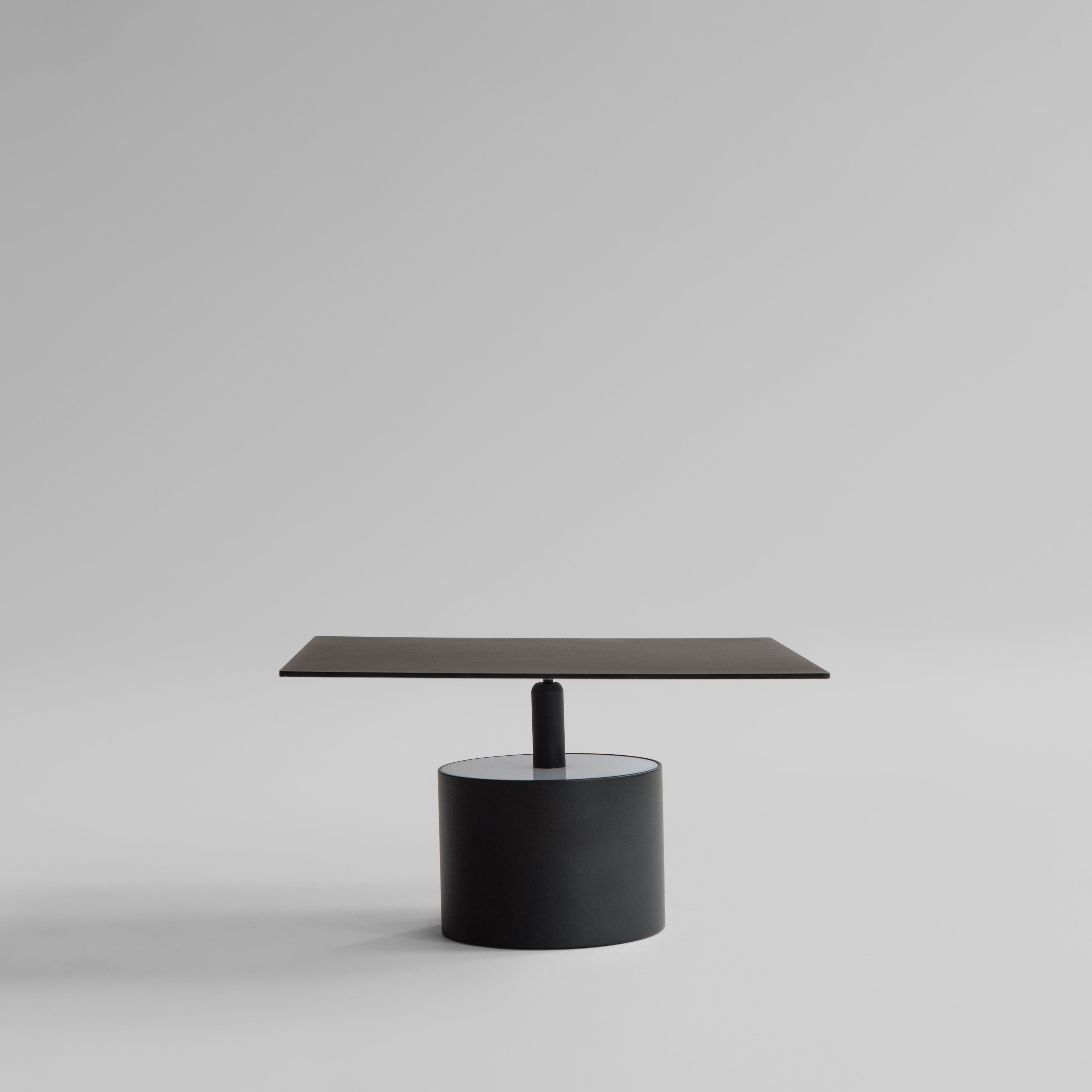 Chameleon Wall Lamp - Burned Black